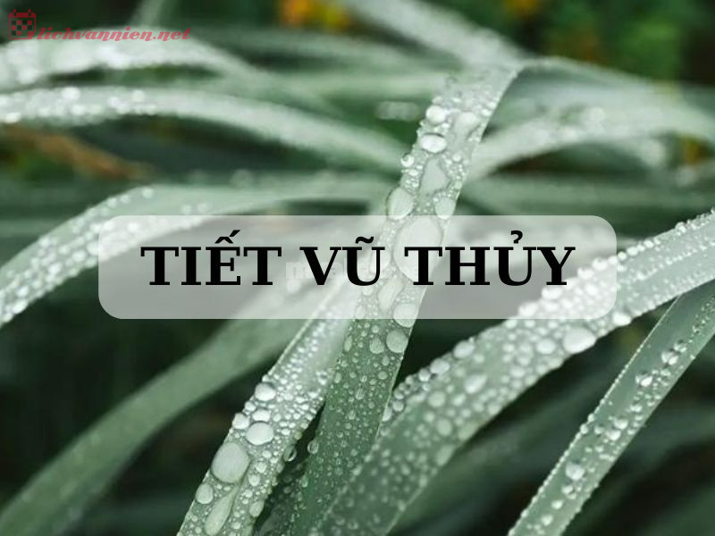 Tiết Vũ Thủy Là Gì? Ý Nghĩa Tiết Vũ Thủy