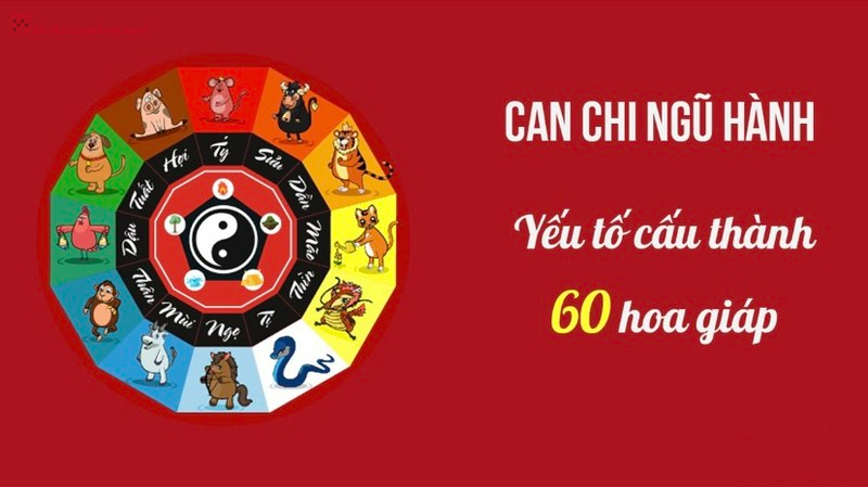 Giải Mã Các Yếu Tố Chính Của Lịch Vạn Niên