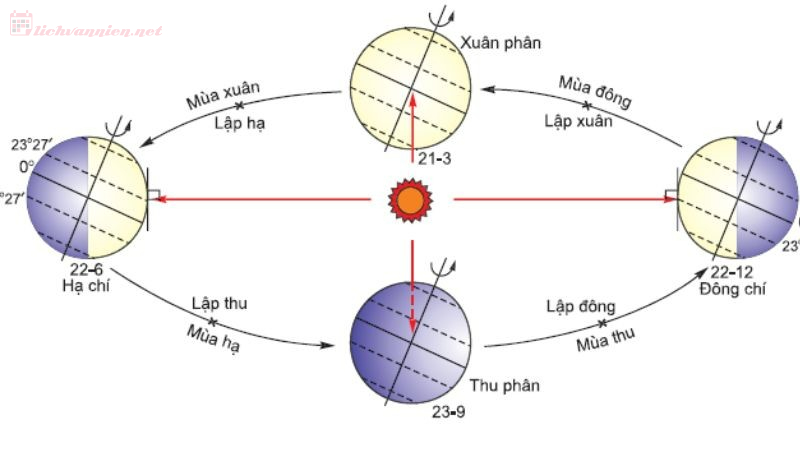 Tiết Hạ Chí Là Gì? Ý Nghĩa Tiết Hạ Chí