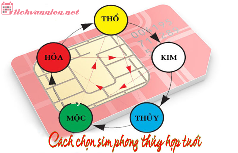 Ứng Dụng Phong Thủy Trong Đời Sống: Chọn Ngày Giờ Tốt, Sim Phong Thủy, Màu Sắc Trang Phục Và Sức Khỏe