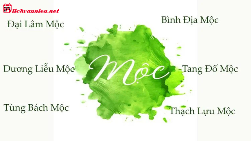 Mệnh Mộc Hợp Hướng Nào: Bí Quyết Chọn Phương Vị May Mắn
