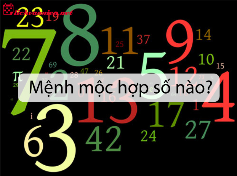 Mệnh Mộc Hợp Số Mấy: Bí Mật Phong Thủy Và Con Số May Mắn