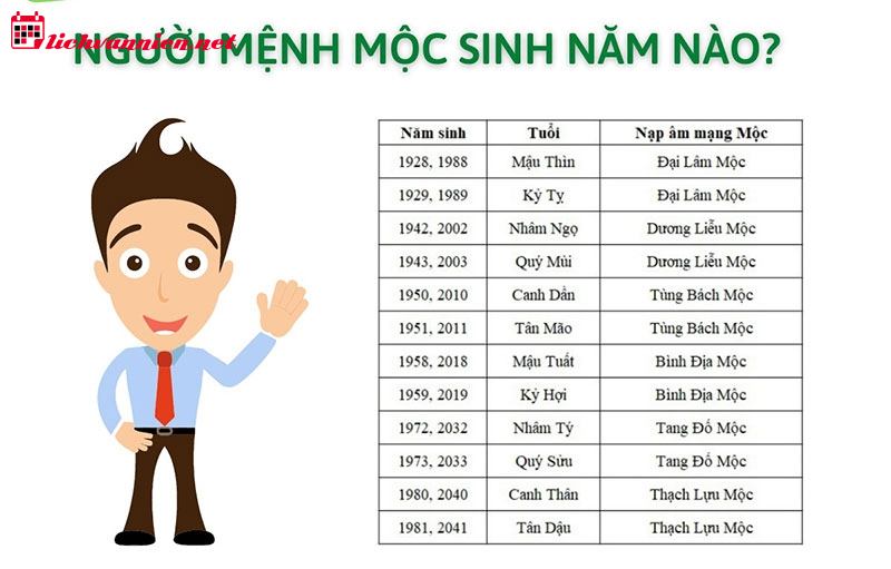 Mệnh Mộc Hợp Số Mấy: Bí Mật Phong Thủy Và Con Số May Mắn