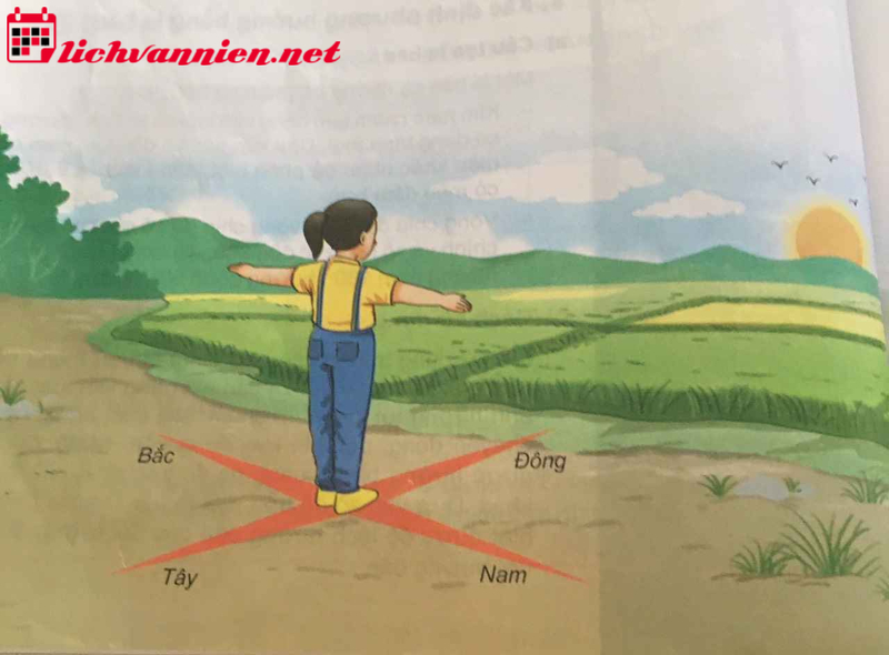 Mệnh Thổ Hợp Hướng Nào: Lựa Chọn Phương Hướng Phong Thủy Tốt Nhất