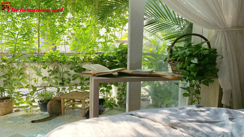 B&iacute; Quyết Phong Thủy Gi&uacute;p Ng&ocirc;i Nh&agrave; Lu&ocirc;n M&aacute;t Mẻ Trong M&ugrave;a H&egrave;