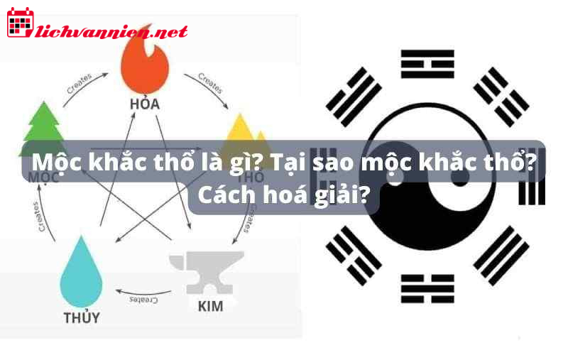 Mộc Khắc Thổ: Giải Mã Quy Luật Tương Khắc Trong Ngũ Hành