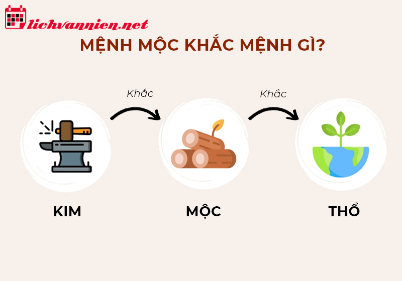 Mộc Khắc Thổ: Giải Mã Quy Luật Tương Khắc Trong Ngũ Hành