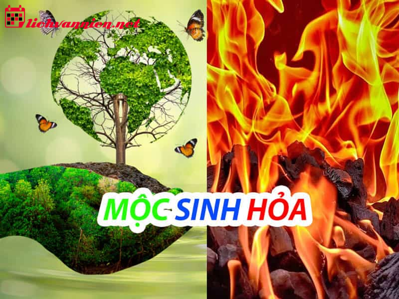 Mộc Sinh Hỏa: Sự Tương Sinh Hài Hòa Trong Ngũ Hành