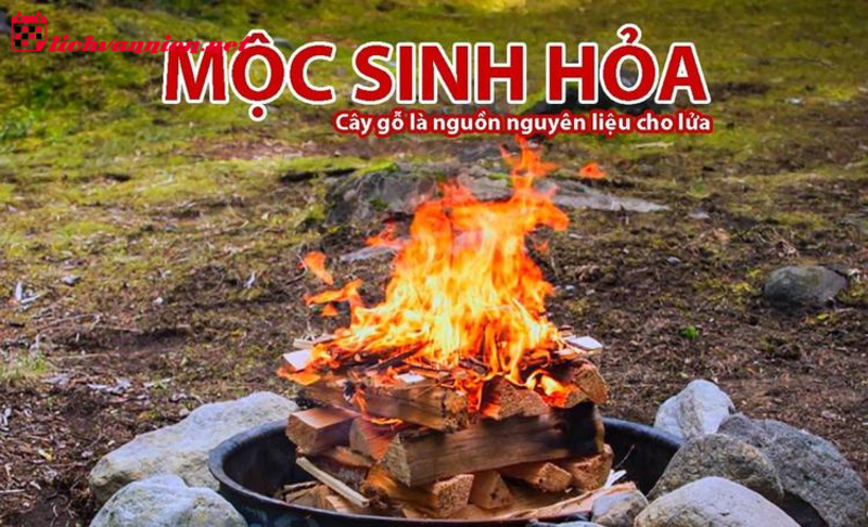 Mộc Sinh Hỏa: Sự Tương Sinh Hài Hòa Trong Ngũ Hành