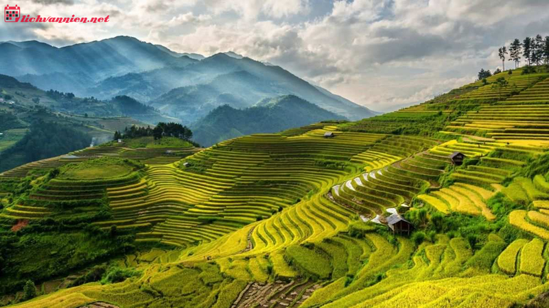 Ngũ Hành Của Long: Bí Ẩn Phong Thủy Âm Trạch Trong Văn Hóa Đông Phương