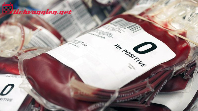 Bạch Dương Nh&oacute;m M&aacute;u O: Khi Bản Năng Ti&ecirc;n Phong Gặp Gỡ Tinh Thần Thủ Lĩnh