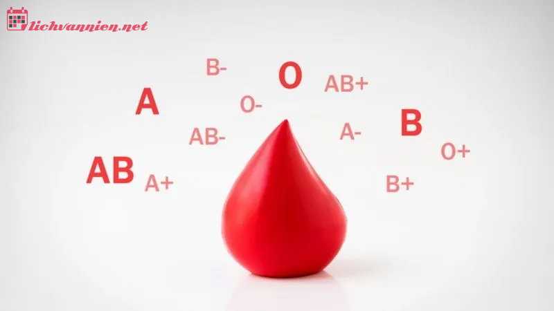 Cự Giải Nh&oacute;m M&aacute;u A: Bức Tranh Về Sự Nhạy Cảm Đầy Kỷ Luật