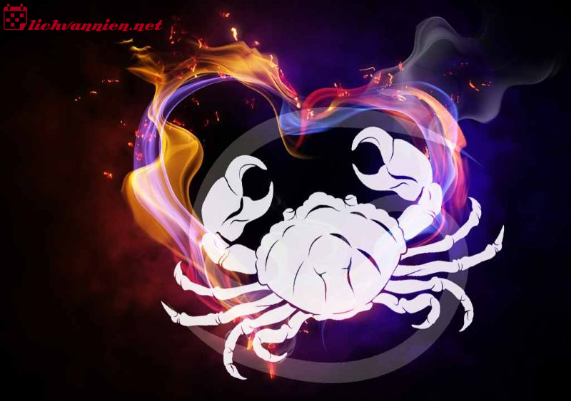 Cung Cự Giải Nh&oacute;m M&aacute;u O: Ch&acirc;n Dung Người Bảo Vệ Năng Nổ v&agrave; Ki&ecirc;n Định