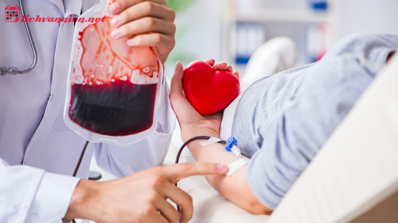 Cung Thi&ecirc;n B&igrave;nh Nh&oacute;m M&aacute;u B: Ch&acirc;n Dung "Nghệ Sĩ L&atilde;ng Du" H&agrave;o Hoa V&agrave; Kh&oacute; Nắm Bắt