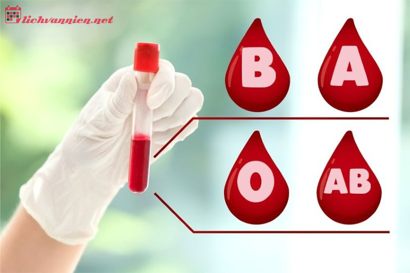 Giải m&atilde; Cung Sư Tử qua lăng k&iacute;nh 4 nh&oacute;m m&aacute;u: Từ kh&iacute; chất đến vận mệnh