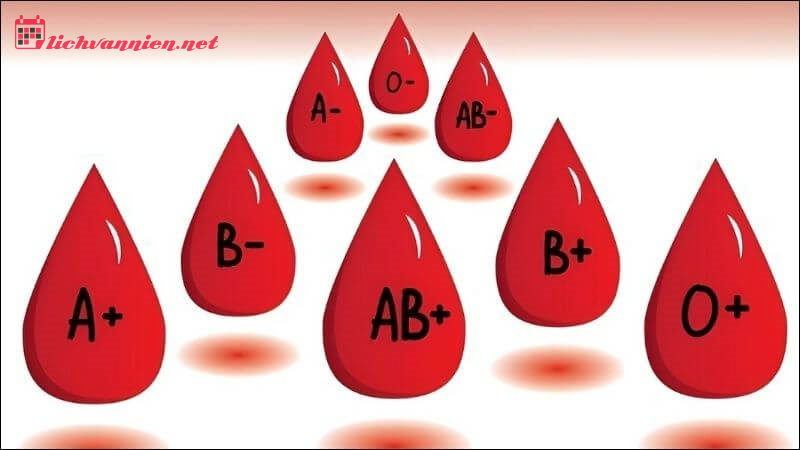 Giải m&atilde; Cung Sư Tử qua lăng k&iacute;nh 4 nh&oacute;m m&aacute;u: Từ kh&iacute; chất đến vận mệnh