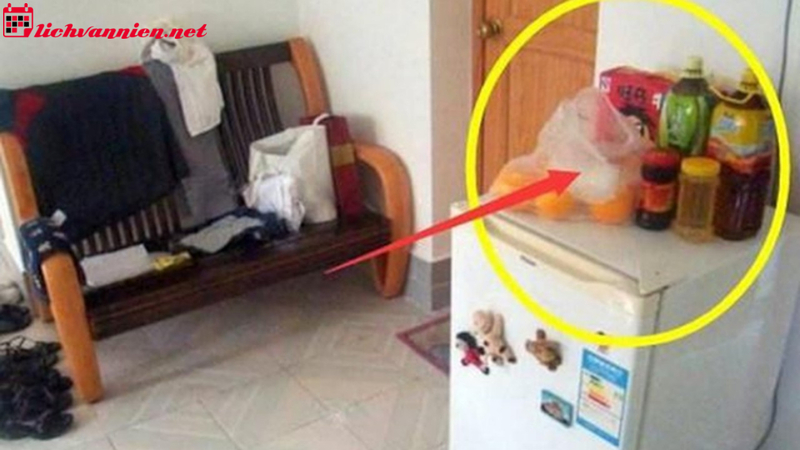 Những Đồ Đại Kỵ Không Nên Đặt Trên Nóc Tủ Lạnh