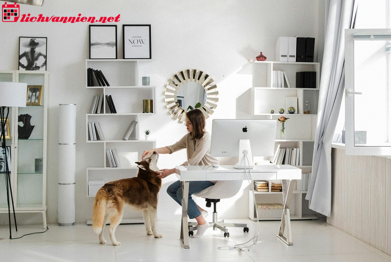 Nu&ocirc;i Ch&oacute; Phong Thủy: B&iacute; Quyết Thu H&uacute;t T&agrave;i Lộc V&agrave; B&igrave;nh An Cho Gia Đ&igrave;nh