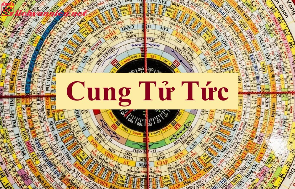 Cung Tử Tức trong phong thủy nhà ở: Cách cải thiện vận may và sự phát triển của con cái