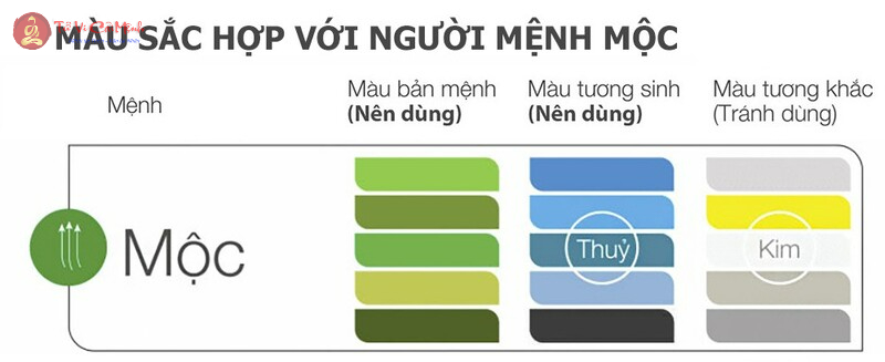 Phong Thủy Nhà ở Cho Người Mệnh Mộc