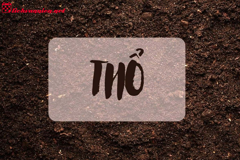 phong-thuy-nha-o-cho-nguoi-menh-tho-1-20240924144613