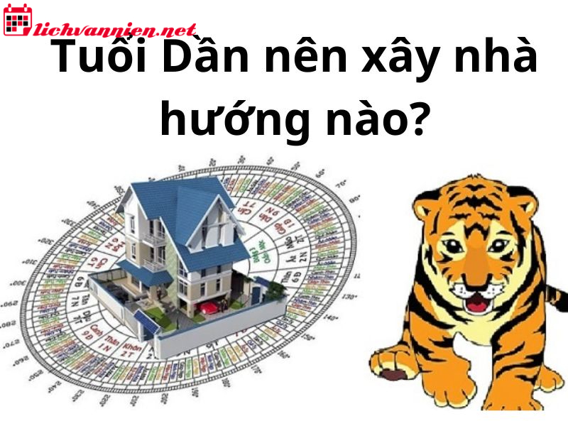 Bí Quyết Phong Thủy Nhà Ở Tuổi Dần - Mang Thịnh Vượng Về Tổ Ấm
