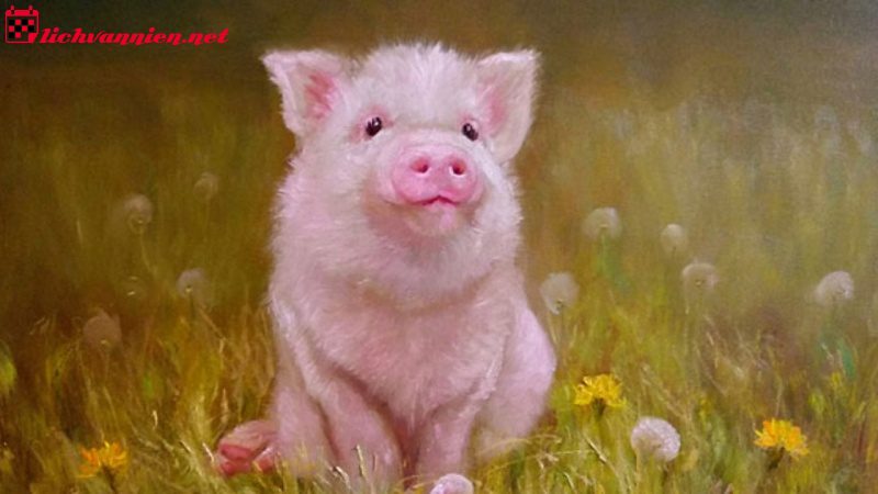 Phong Thủy Nhà Ở Tuổi Hợi - Hướng Dẫn Chi Tiết Để Gia Tăng Vượng Khí