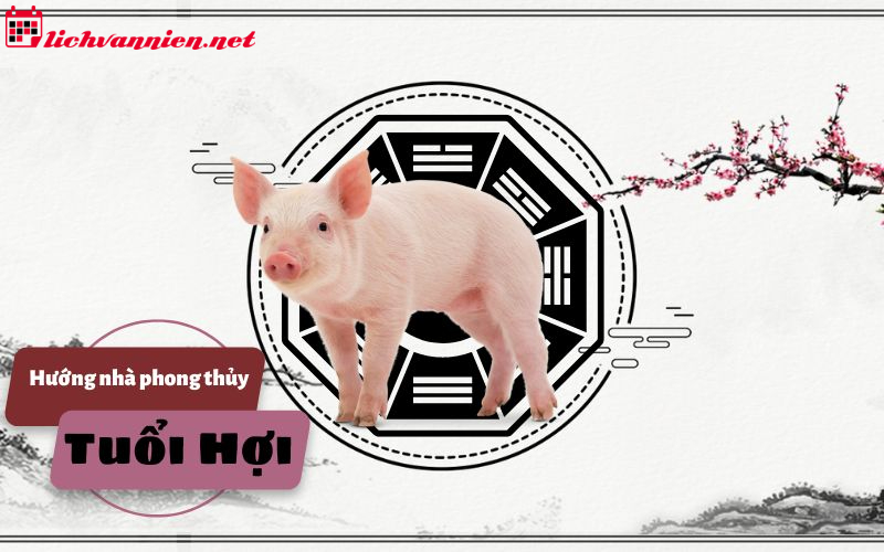 Phong Thủy Nhà Ở Tuổi Hợi - Hướng Dẫn Chi Tiết Để Gia Tăng Vượng Khí