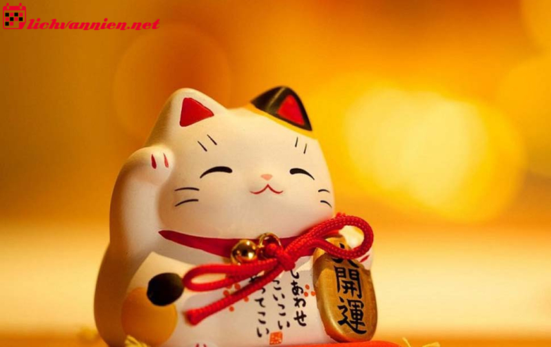 Bí Quyết Phong Thủy Nhà Ở Tuổi Mẹo - Hài Hòa Với Thiên Nhiên Và Vượng Khí