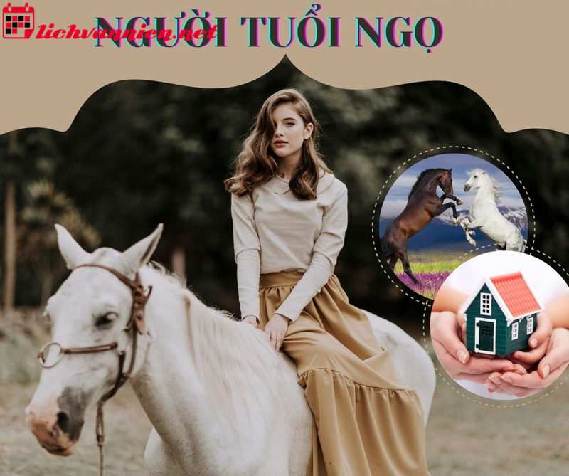 Khám Phá Phong Thủy Nhà Ở Tuổi Ngọ: Hòa Hợp Với Năng Lượng Hỏa