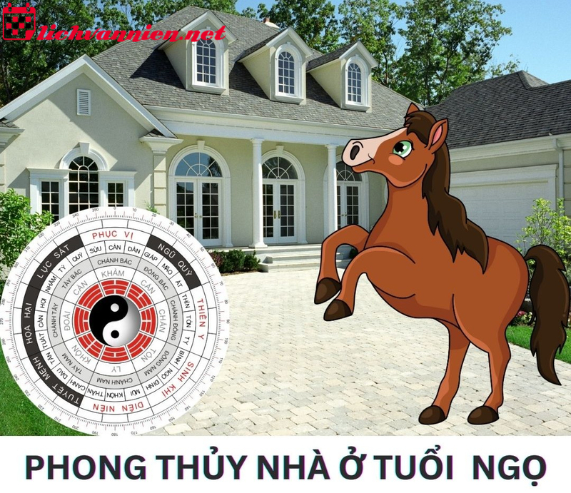 Khám Phá Phong Thủy Nhà Ở Tuổi Ngọ: Hòa Hợp Với Năng Lượng Hỏa