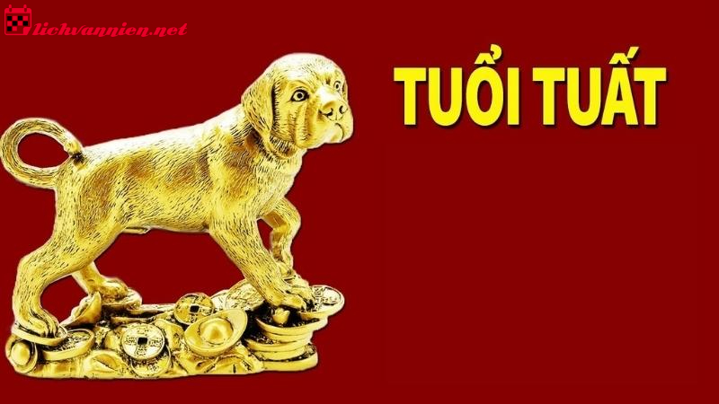 Phong Thủy Nhà Ở Tuổi Tuất - Bí Quyết Hài Hòa Năng Lượng Và Thịnh Vượng