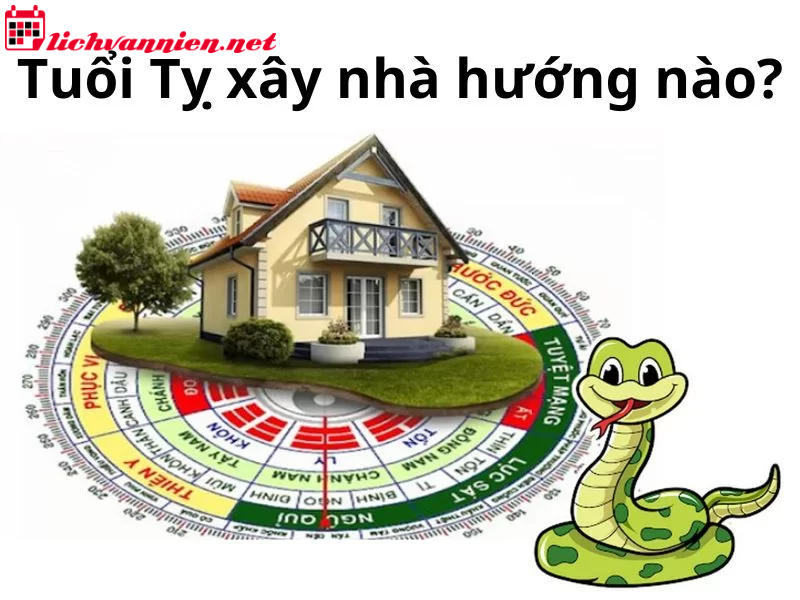 Phong Thủy Nhà Ở Tuổi Tỵ: Bí Quyết Hóa Giải Và Thu Hút Vận May Cho Gia Chủ