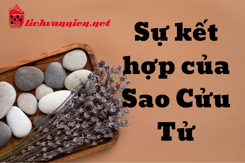 Sao Cửu Tử L&agrave; G&igrave;? Tốt Hay Xấu - Giải M&atilde; S&aacute;t Sao Trong Phong Thủy