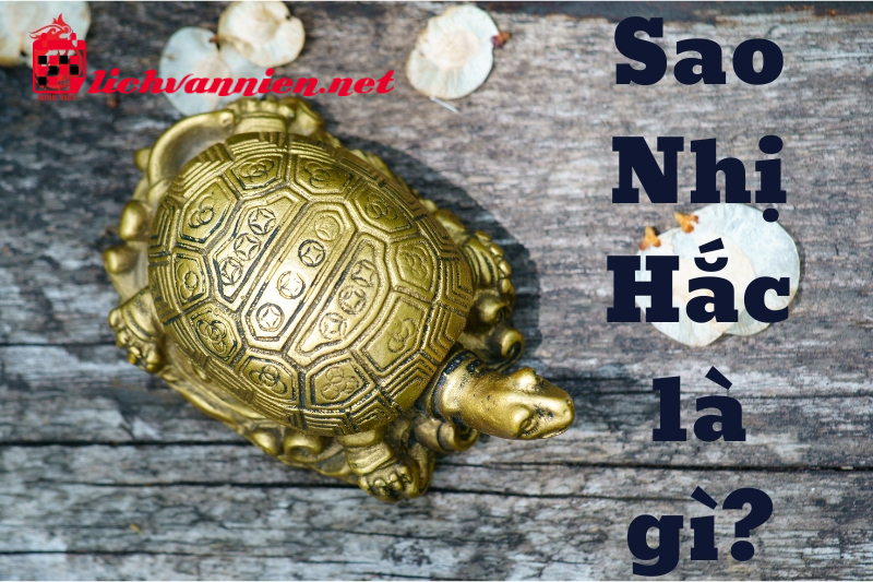 Sao Nhị Hắc L&agrave; G&igrave;? Tốt Hay Xấu