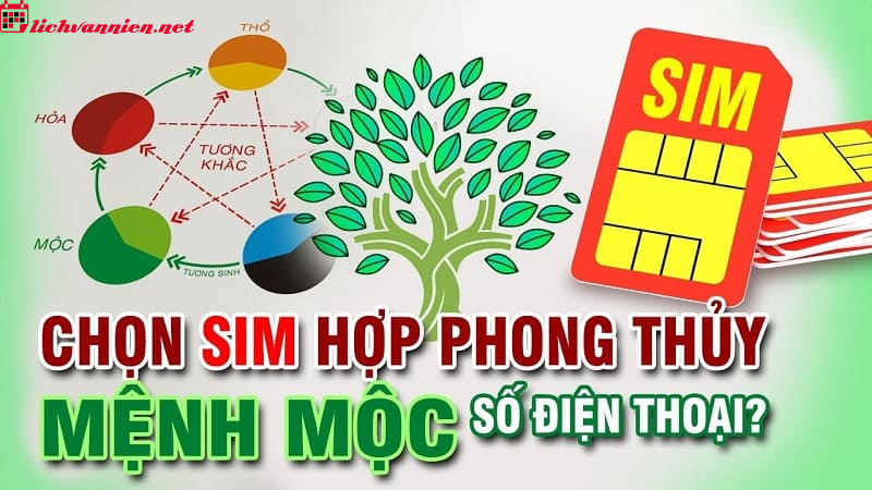 Sim Hợp Mệnh Mộc - B&iacute; Quyết Chọn Số Điện Thoại Ph&ugrave; Hợp