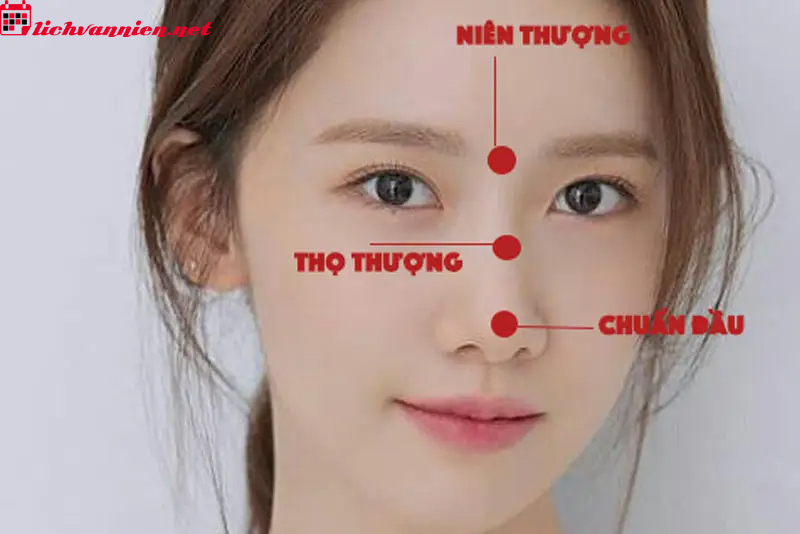 Sửa Mũi Phong Thủy - Thay Đổi Vận Mệnh Qua N&eacute;t Tướng Trung T&acirc;m