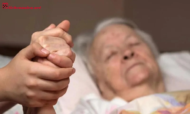Tam Tài Tương Hợp: Nguyên Lý Cân Bằng Thiên - Địa - Nhân Trong Phong Thủy