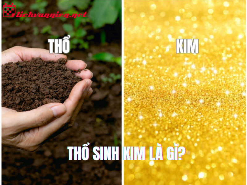 Thổ Sinh Kim: Mối Quan Hệ Tương Sinh Đặc Biệt Trong Ngũ Hành