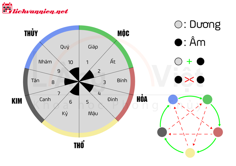 Trung Cung Là Gì? Cách Xác Định Trung Cung