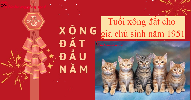 Tuổi X&ocirc;ng Đất Ph&ugrave; Hợp Cho Gia Chủ Sinh Năm 1951