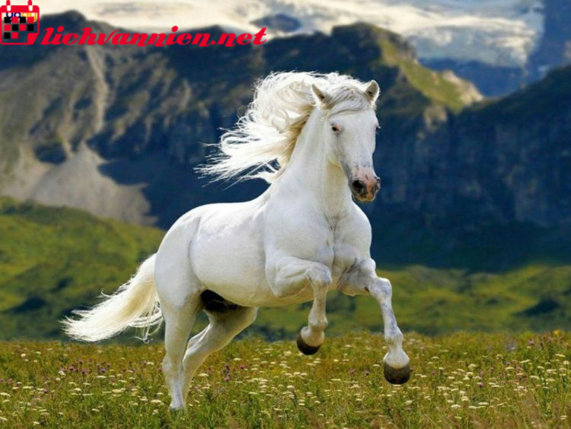 Tuổi X&ocirc;ng Đất Hợp Mệnh Cho Gia Chủ Sinh Năm 1954