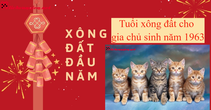 Tuổi X&ocirc;ng Đất Hợp Gia Chủ Sinh Năm 1963 - B&iacute; Quyết Đ&oacute;n T&agrave;i Lộc Năm Mới