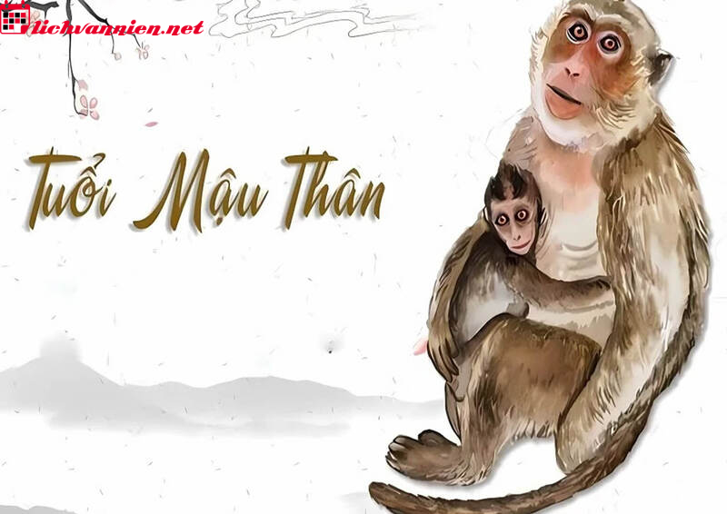 Tuổi X&ocirc;ng Đất Ph&ugrave; Hợp Cho Gia Chủ Sinh Năm 1968