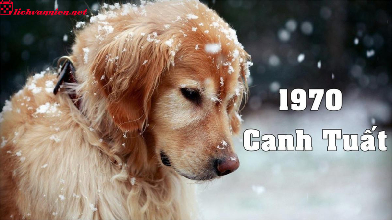 Tuổi X&ocirc;ng Đất Hợp Mệnh Cho Gia Chủ Sinh Năm 1970