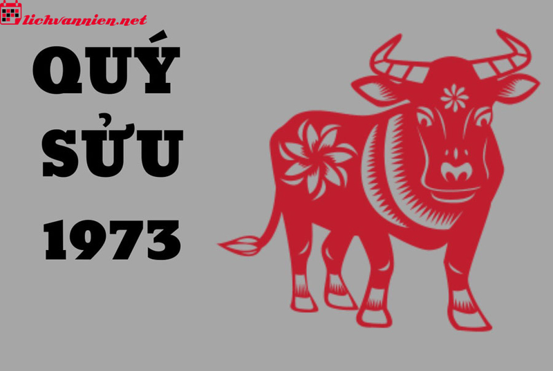 Tuổi X&ocirc;ng Đất Cho Gia Chủ Sinh Năm 1973: B&iacute; Quyết Chọn Người Mở Cửa May Mắn Đầu Năm