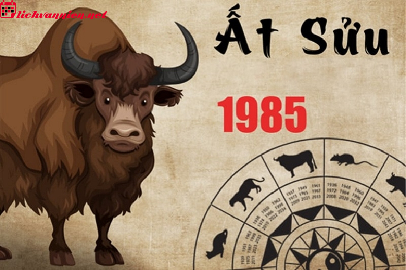 Tuổi X&ocirc;ng Đất Cho Gia Chủ Sinh Năm 1985 - B&iacute; Quyết Đ&oacute;n Lộc Đầu Năm