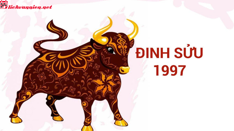 Tuổi X&ocirc;ng Đất Hợp Mệnh Cho Gia Chủ Sinh Năm Đinh Sửu 1997