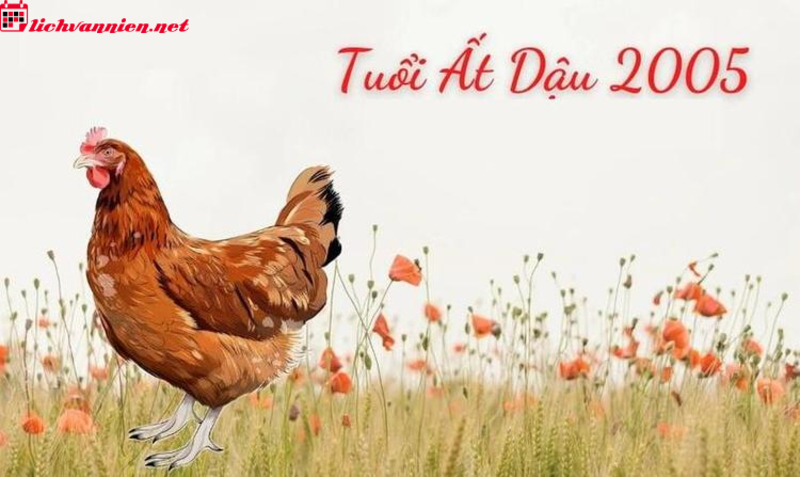 Chọn Tuổi X&ocirc;ng Đất Hợp Mệnh Cho Gia Chủ Sinh Năm 2005