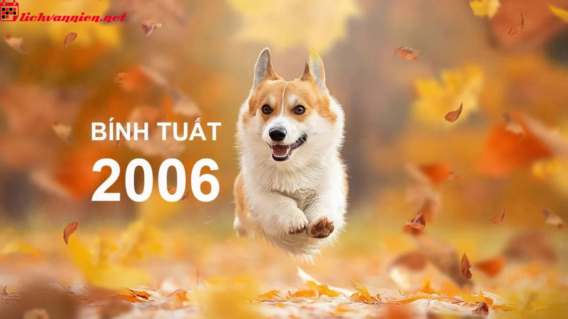 Chọn Tuổi X&ocirc;ng Đất Ph&ugrave; Hợp Cho Gia Chủ Sinh Năm 2006 - Đ&oacute;n T&agrave;i Lộc Về Nh&agrave;